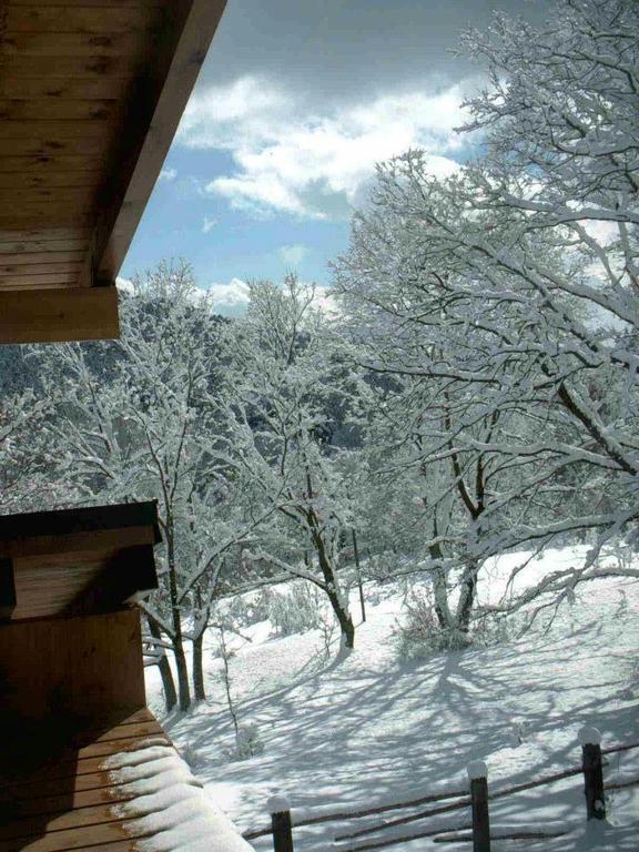 Hotel Rural Las Rozuelas Серседилья Номер фото